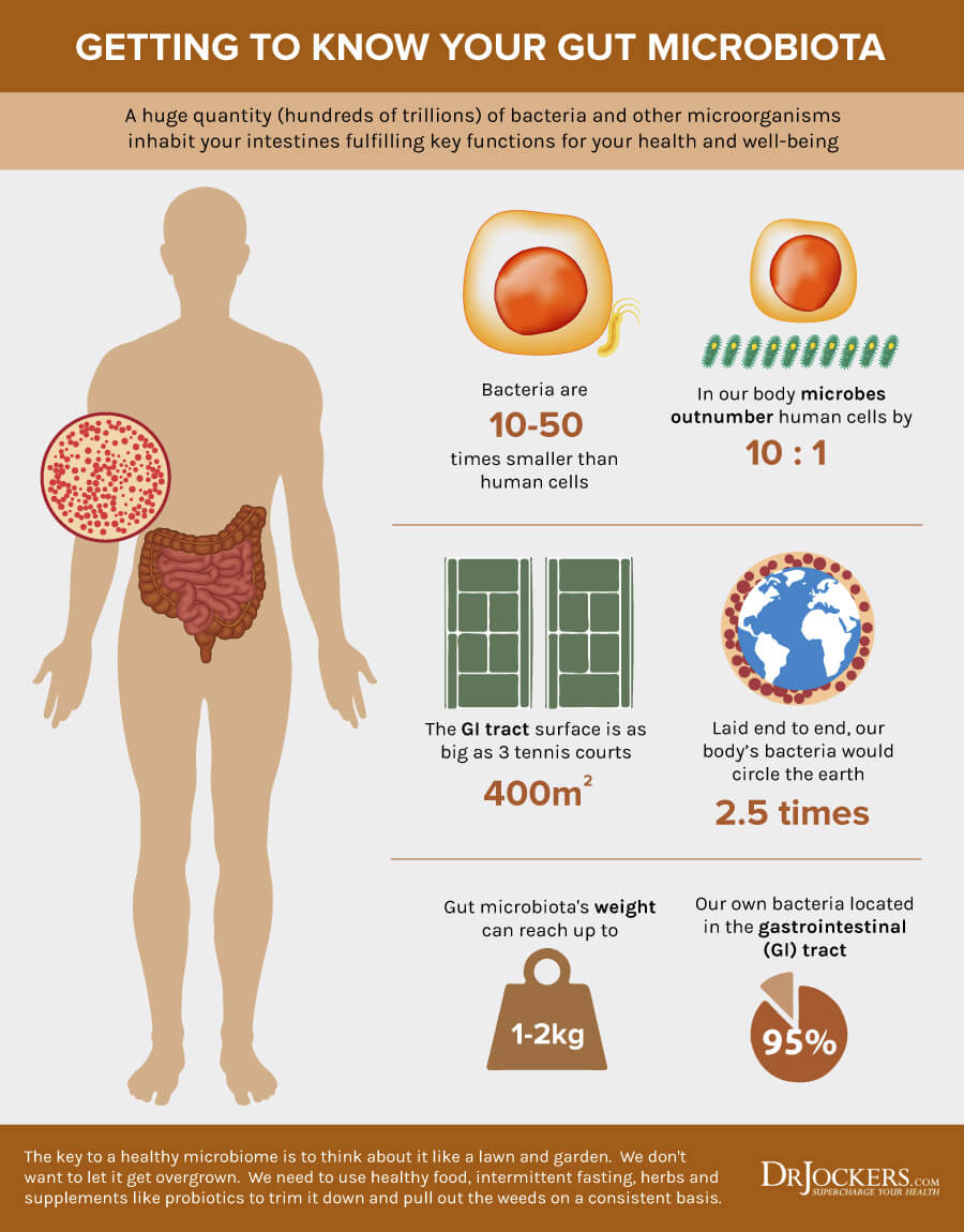 10 Ways To Improve The Gut Microbiome