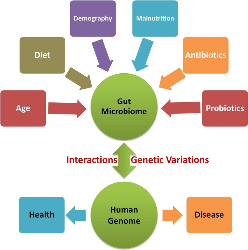 2 Complex interplay of the human gut microbiome and human ...