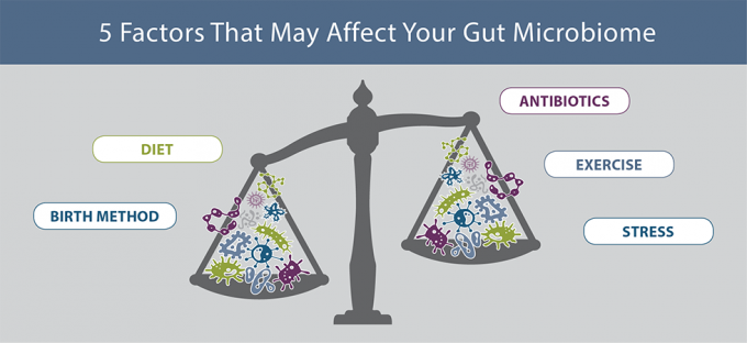 5 Ways You Might Upset Your Gut Microbiome (and What You ...