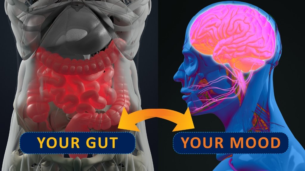 7 Signs You May Have Leaky Gut Syndrome &  Treatments