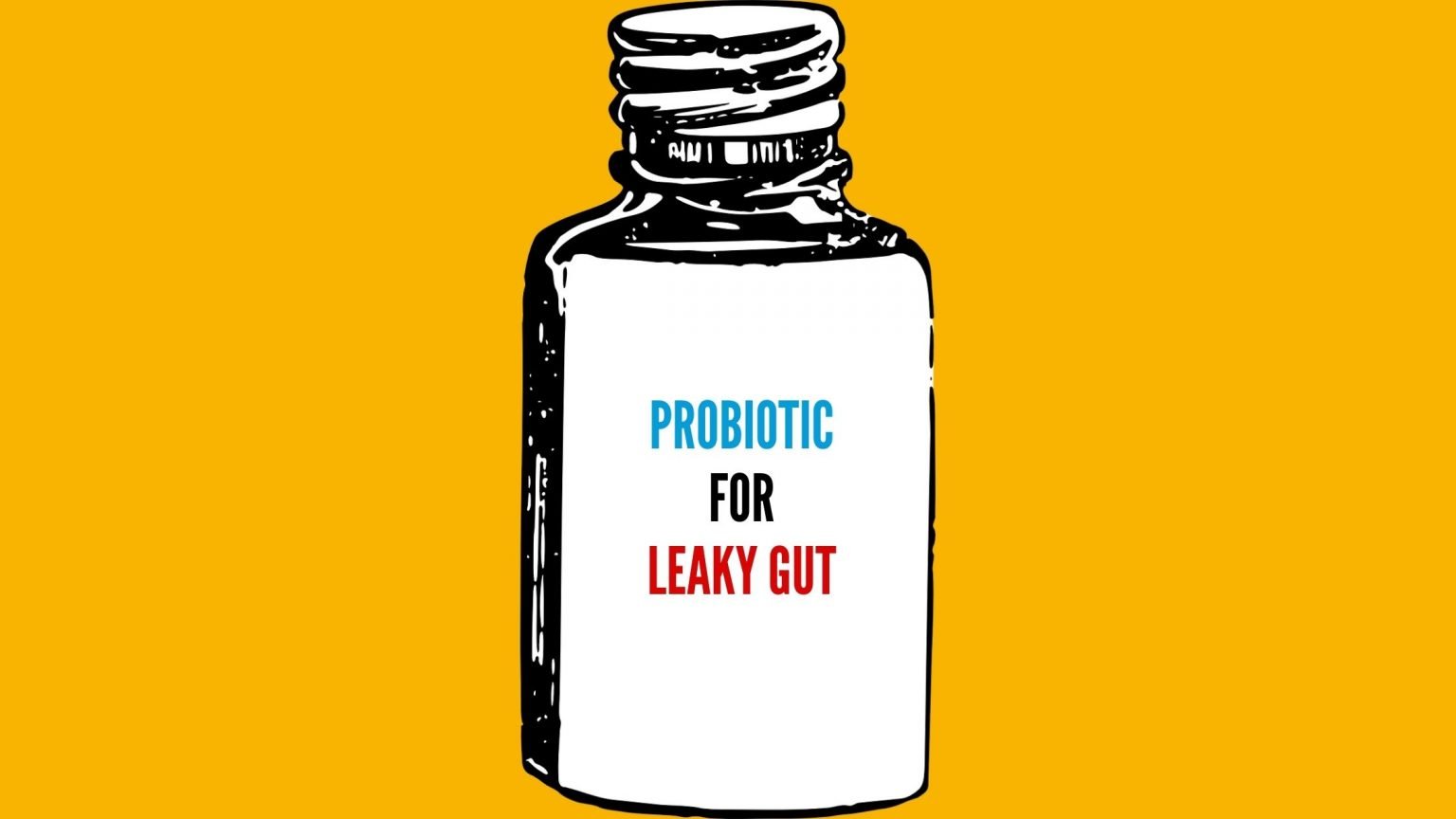 Best Probiotic for Leaky Gut