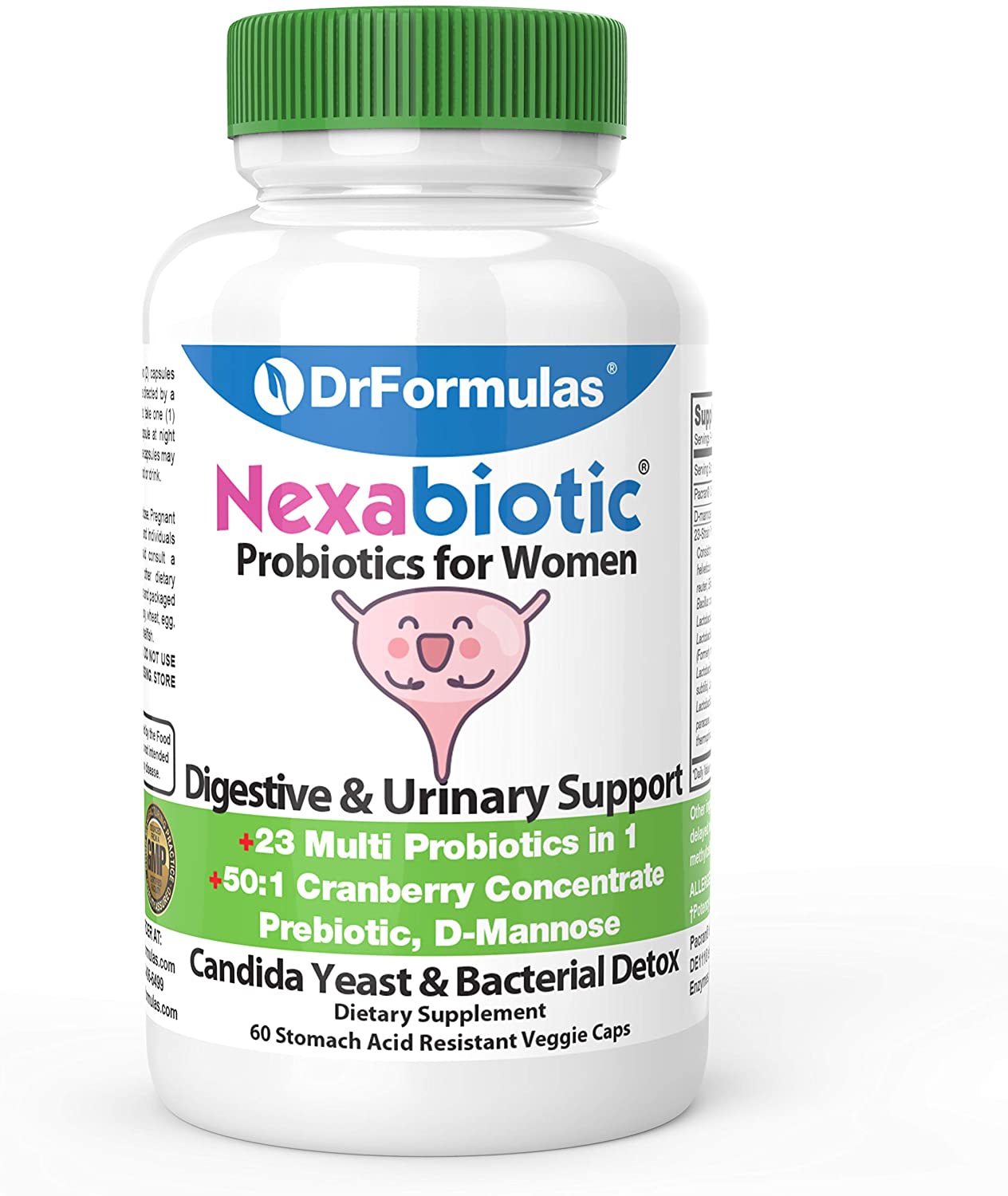 Best Probiotic for UTI Treatment [2022] Top Probiotics Supplement for UTIs