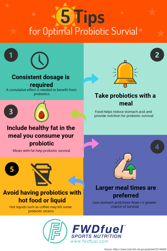 Best Time to Take Probiotics and 5 Crucial Tips for Success