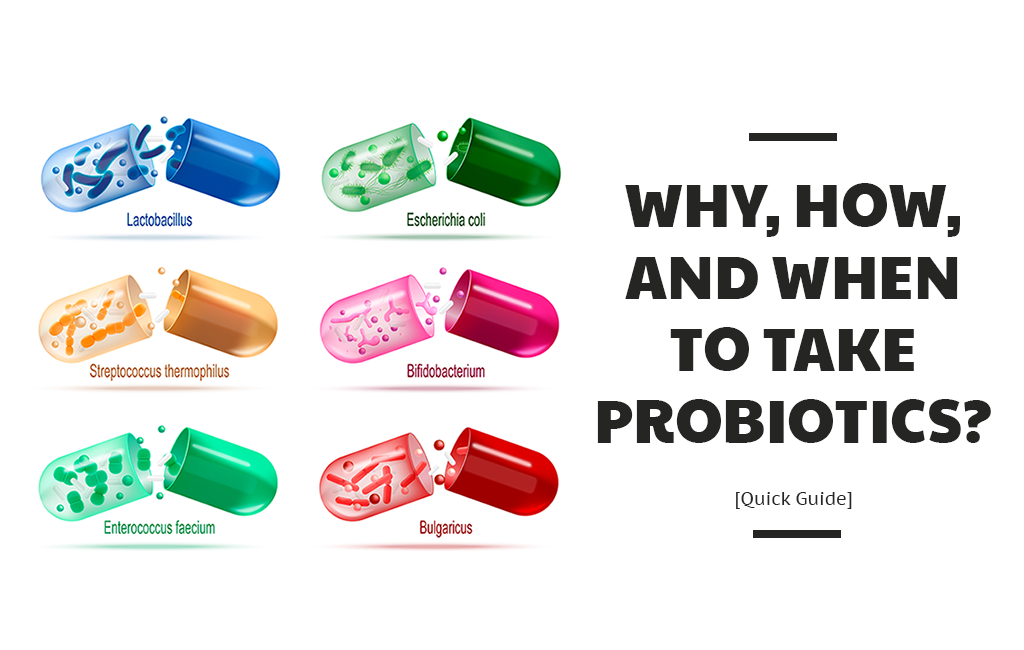 Best Time To Take Probiotics
