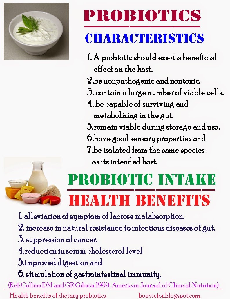 bonvictor.blogspot.com: Health benefits of dietary probiotics