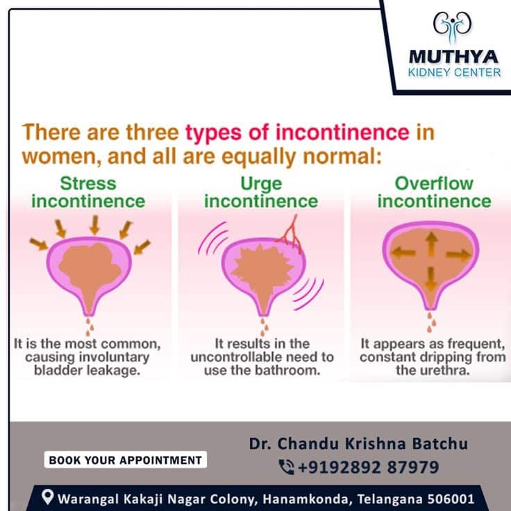 Can A Bladder Infection Cause Incontinence