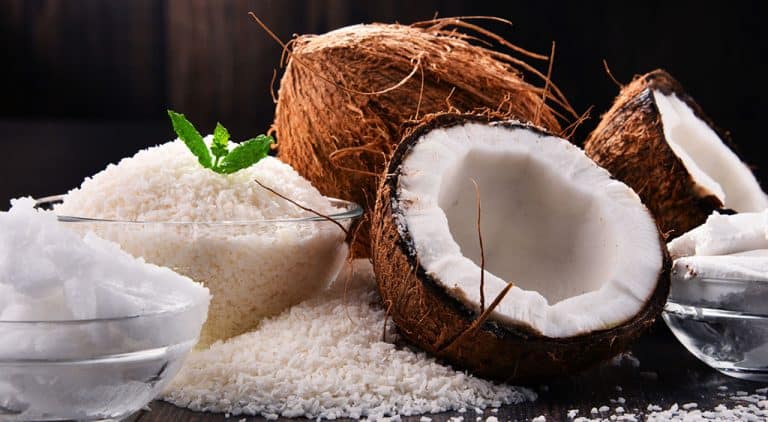 Can Cats Eat Coconut? What About Coconut Milk or Water?