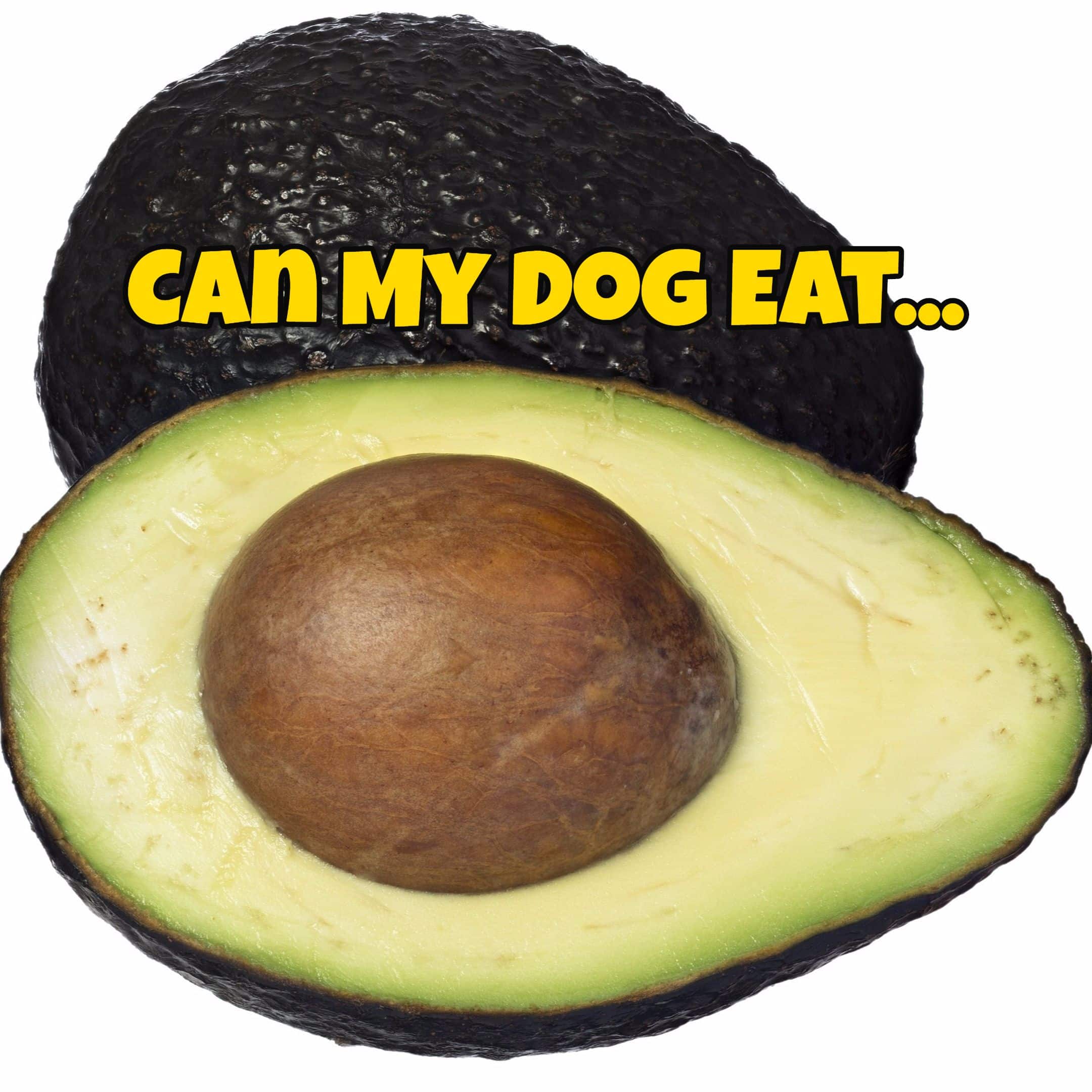 Can My Dog Eat Avocado Skin