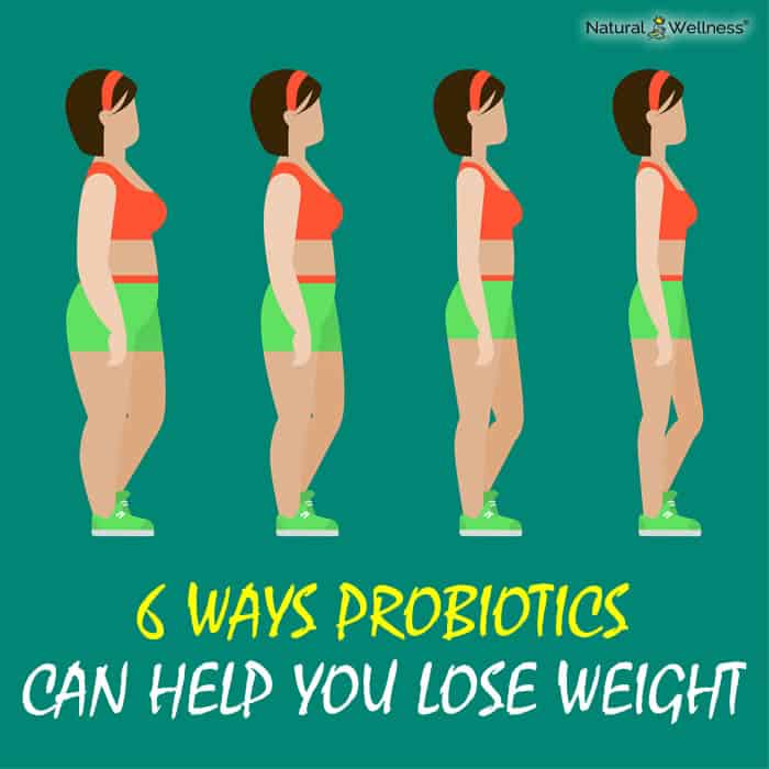 Can Probiotics Lose Weight Loss