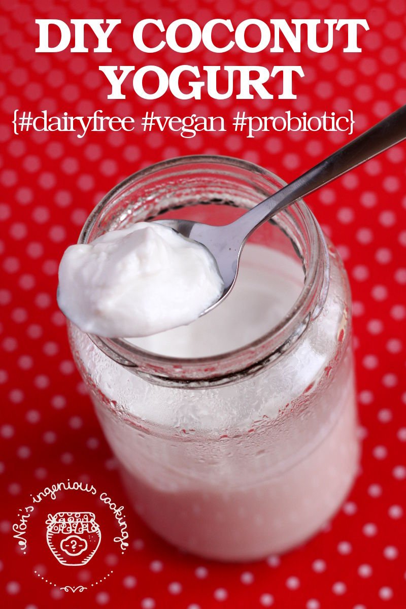 Coconut Yogurt (probiotic, dairy