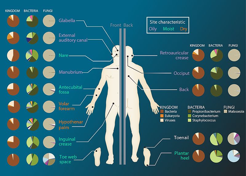 Difference Between Microbiome and Microbiota