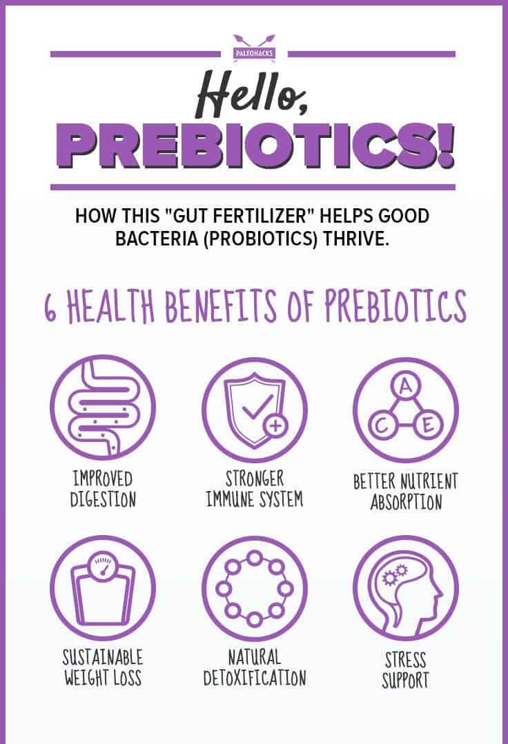 Differences and Health Benefits of Prebiotics and ...