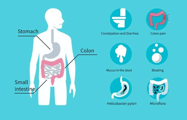 Disease Graphics, Videos &  Images on Irritable Bowel Syndrome