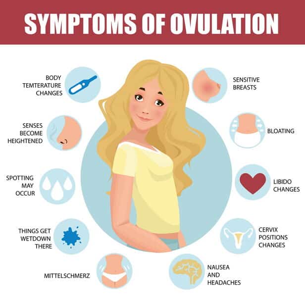 Do You Get Bloated When You Ovulate