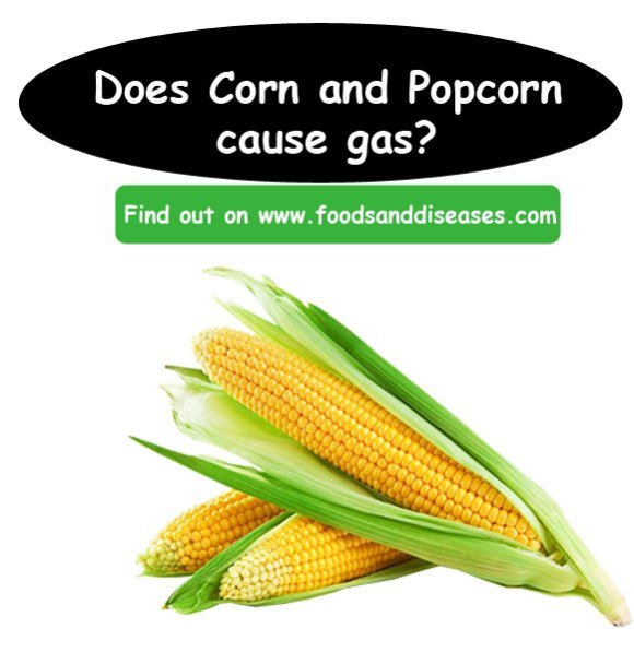 Does Corn Make You Bloated