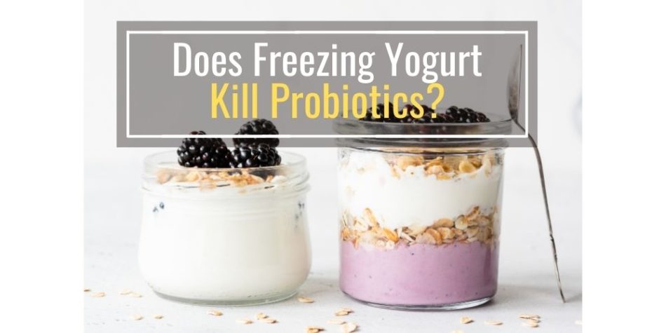Does Freezing Yogurt Kill Probiotics? (Explained!)