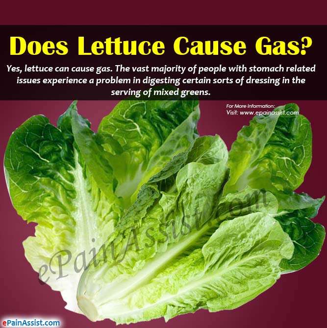 Does Lettuce Cause Gas?