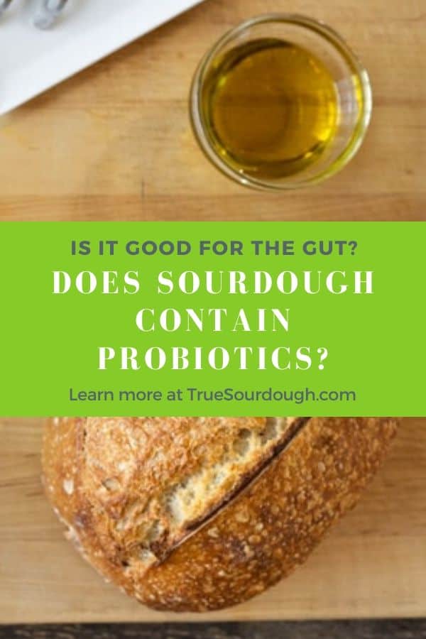 Does Sourdough Contain Probiotics and is it Good for the ...