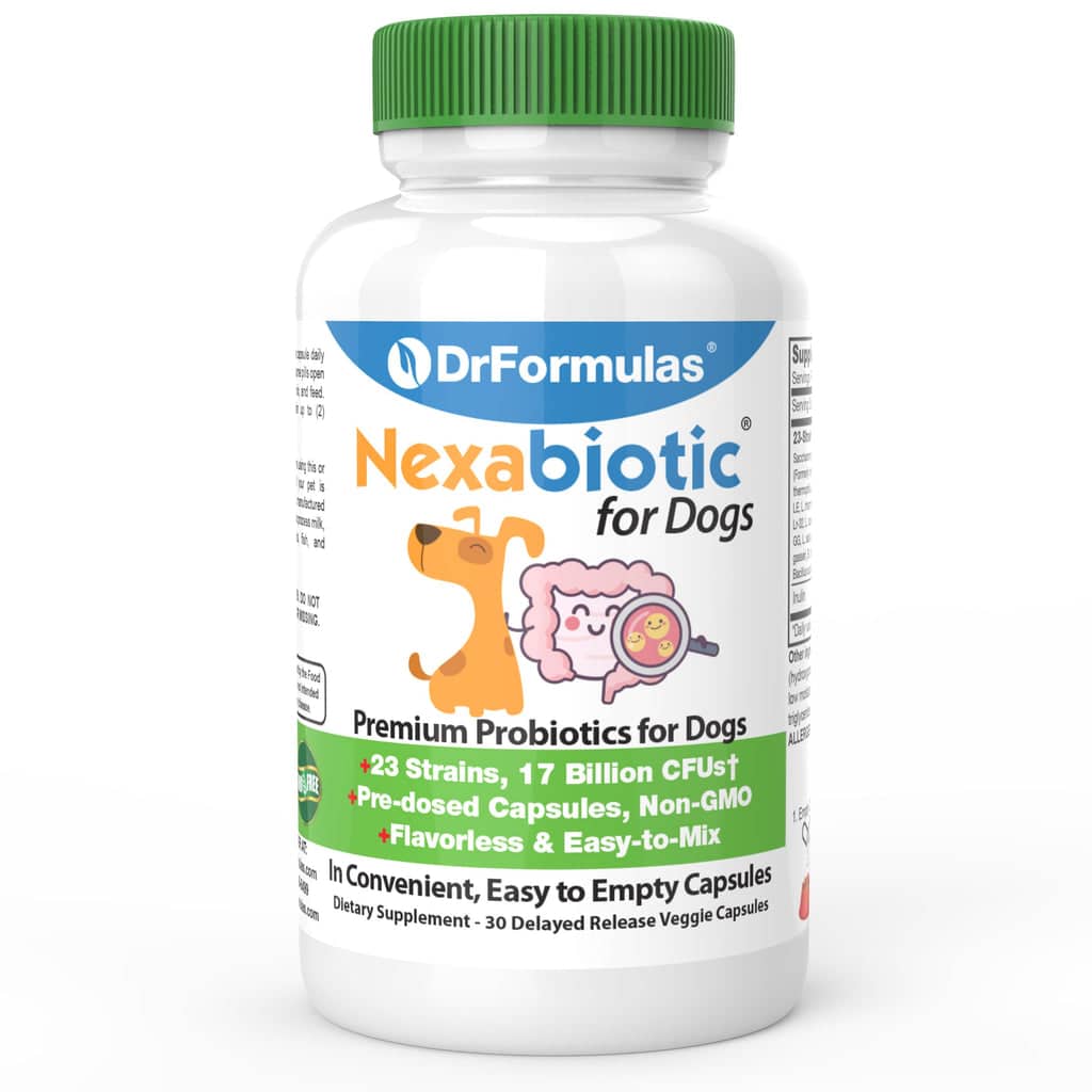 DrFormulas Best Probiotics for Dogs Diarrhea Treatment