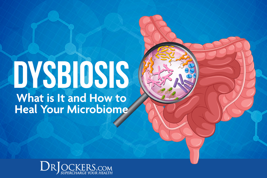 Dysbiosis: What is It and How to Heal Your Microbiome ...