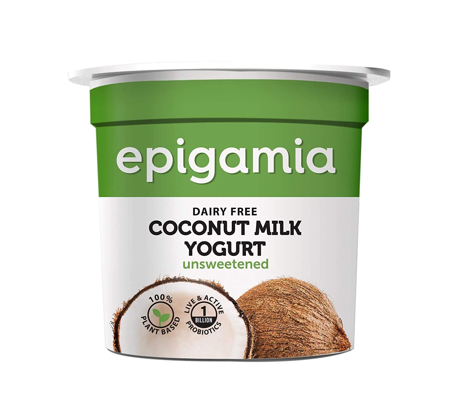 Epigamia Coconut Milk Yogurt