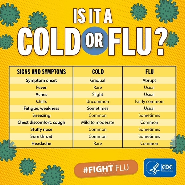 Flu Information &  Resources