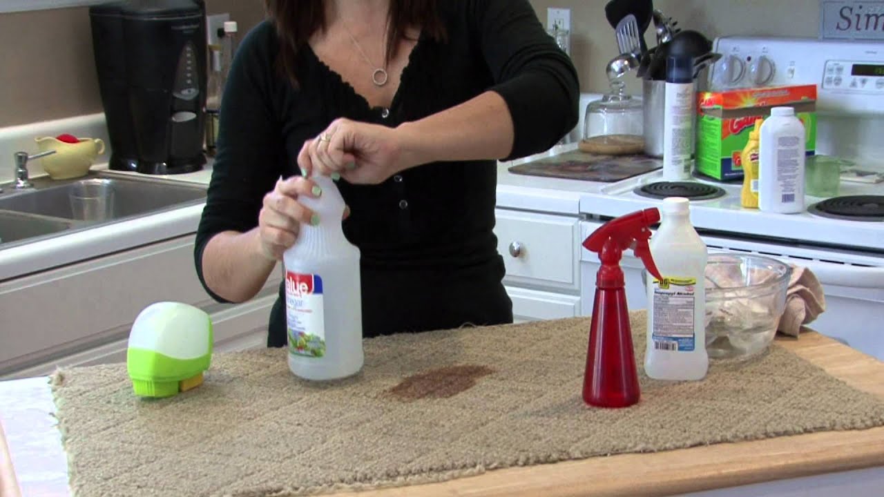 Housecleaning Tips How To Clean Up Dog Feces From Carpet
