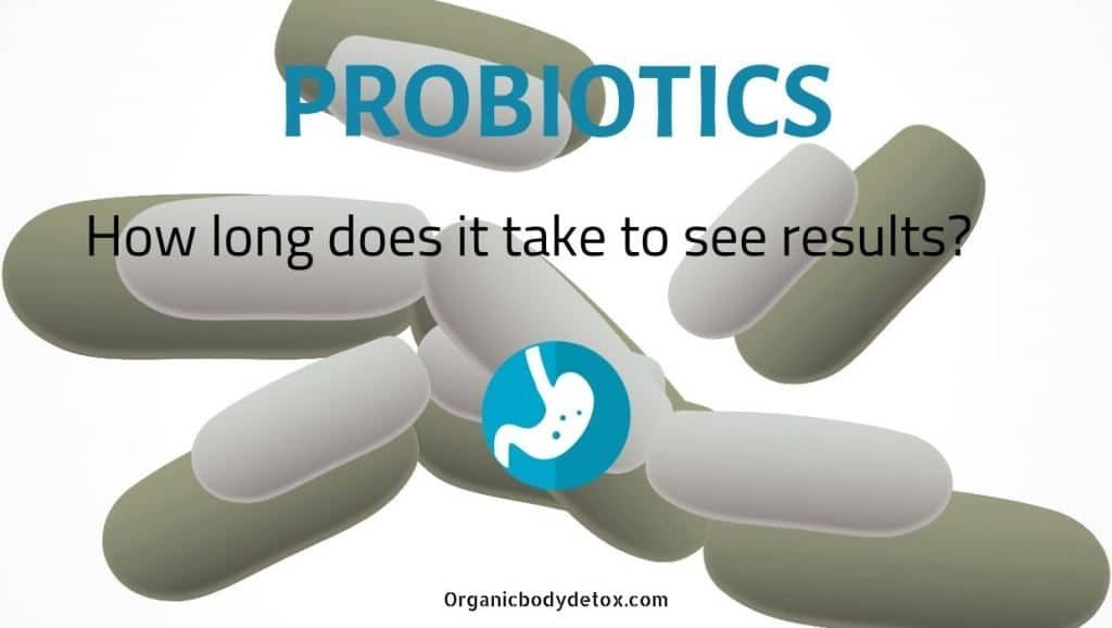 How Long does it Take for Probiotics to Work?