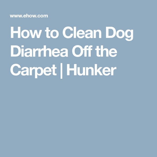 How to Clean Dog Diarrhea Off the Carpet