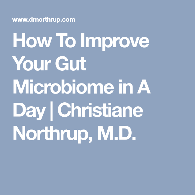 How to Improve Your Gut Microbiome in a Day