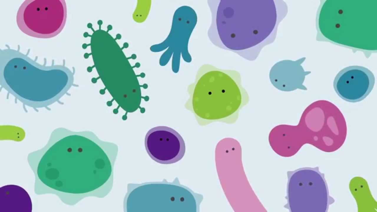 Introducing The Human Gut Microbiome
