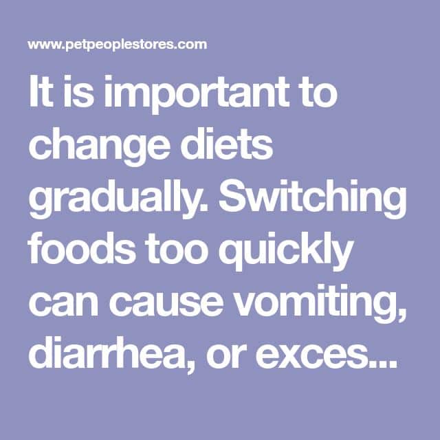 It is important to change diets gradually. Switching foods too quickly ...
