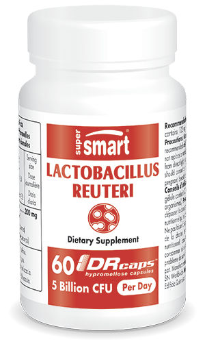 Lactobacillus Reuteri Probiotics