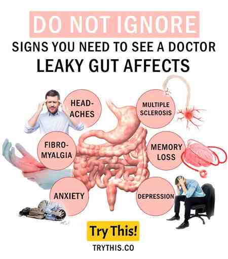 Leaky Gut After Sibo Eat Rid Get