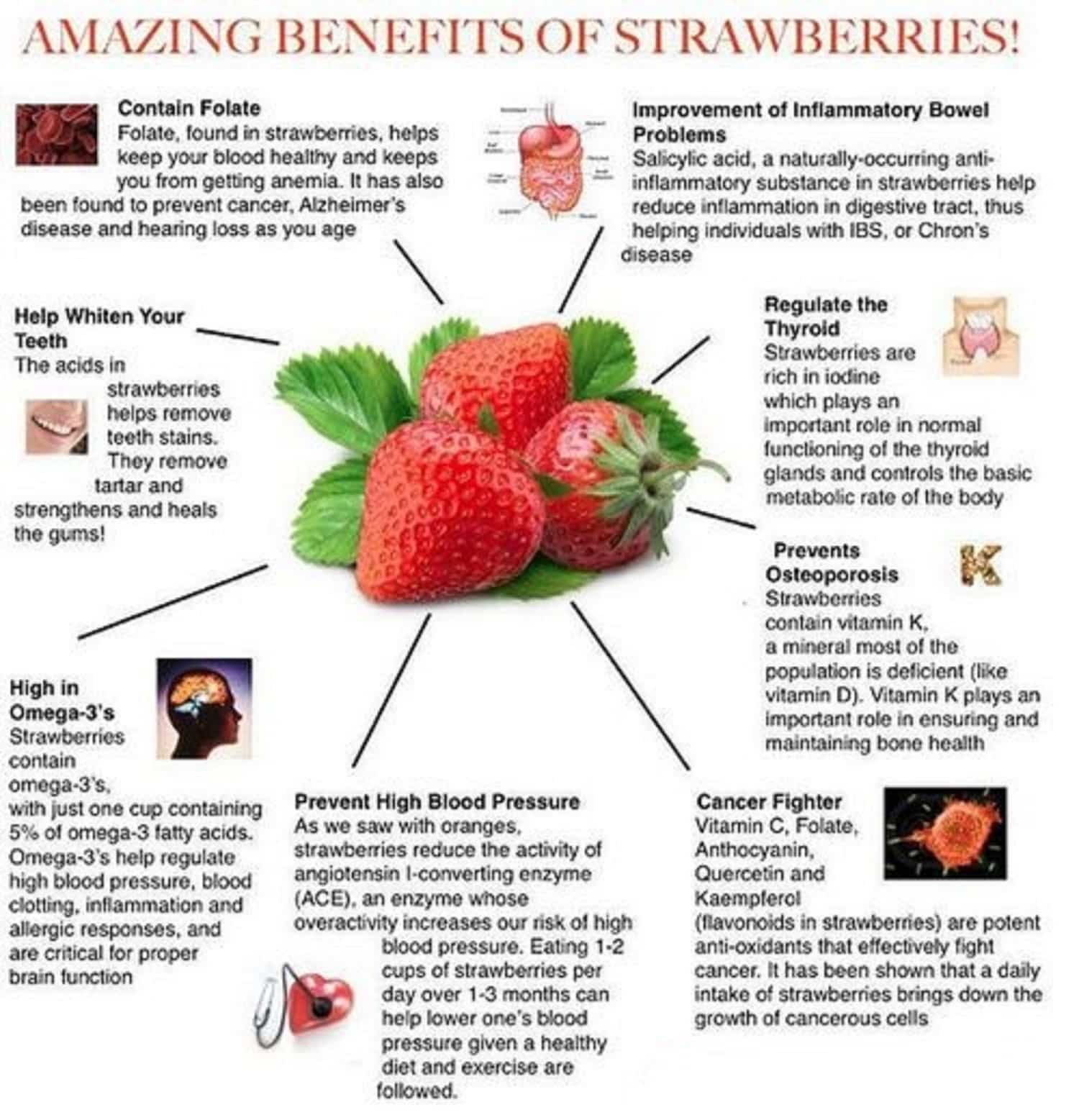 Medical and Health Science: Health Benefits of Strawberry!!!