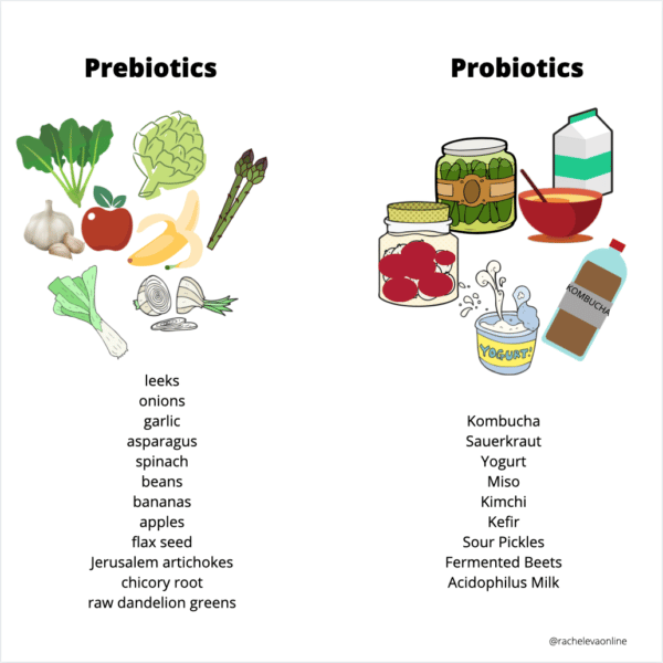 Prebiotics &  Probiotics â Rachel Eva