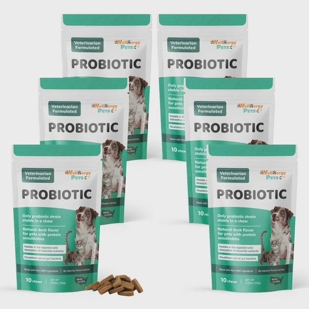 Probiotic for Dogs &  Cats, Travel Pack (6)