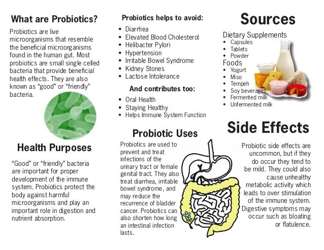 Probiotic Supplements To Boost Kidney Functions ...