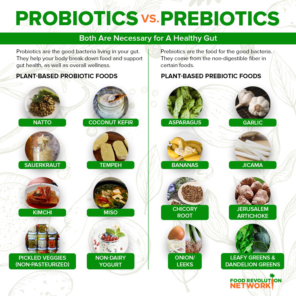 Probiotics and Prebiotics: Everything You Need to Know