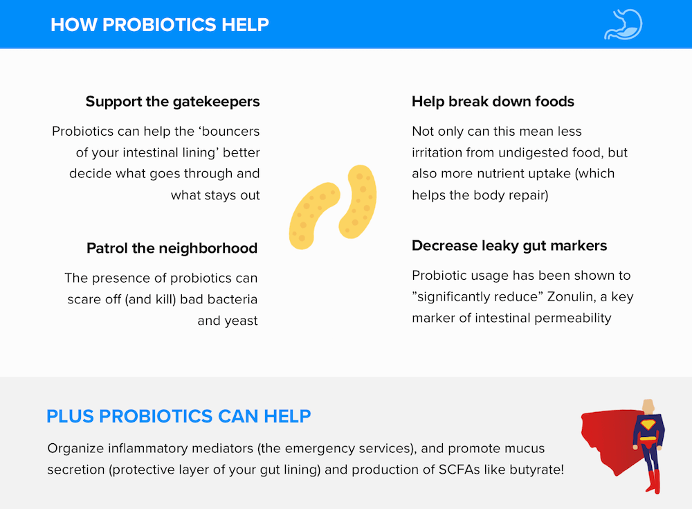 Probiotics Can Help Leaky Gut, But Be Careful