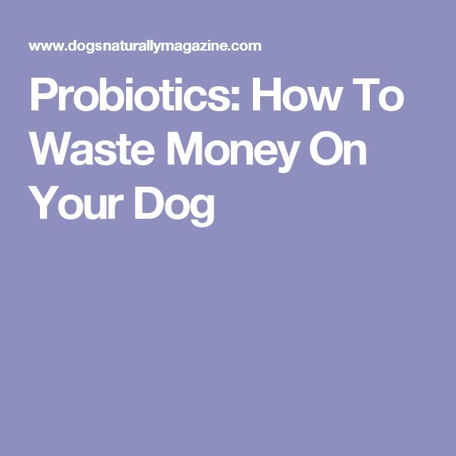 Probiotics: How To Waste Money On Your Dog