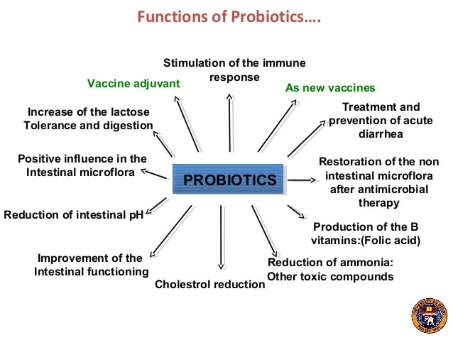 PRObiotics vs PREbiotics  R