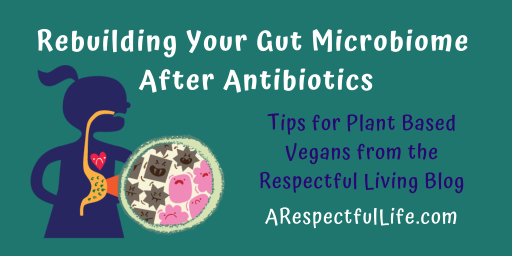 Rebuilding Your Gut Microbiome After Antibiotics ...
