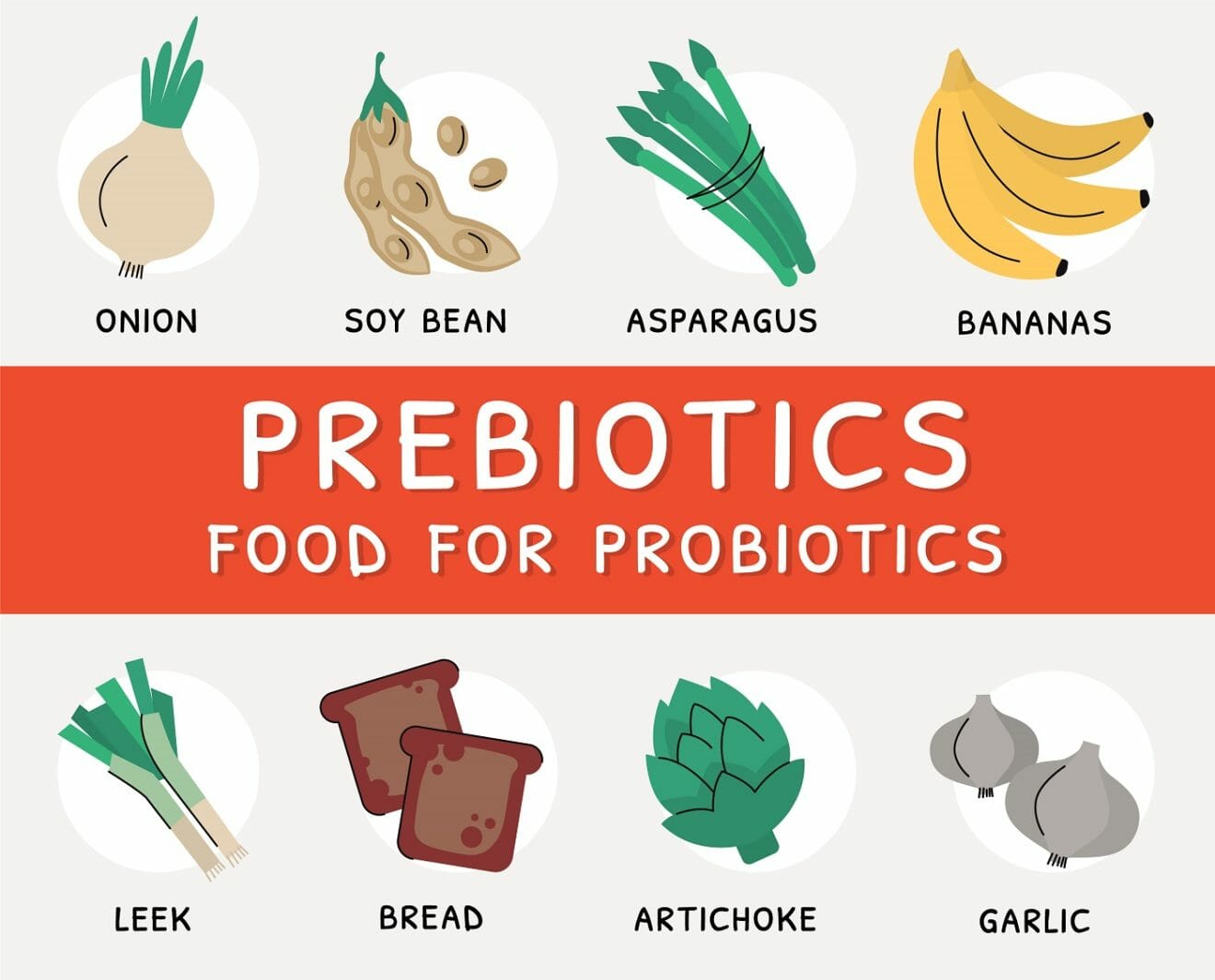 Role of Prebiotics with Probiotics