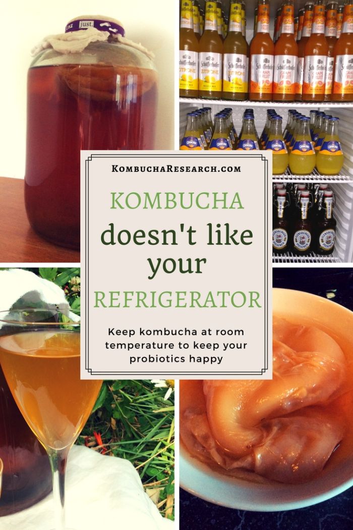Should we keep kombucha in the fridge?