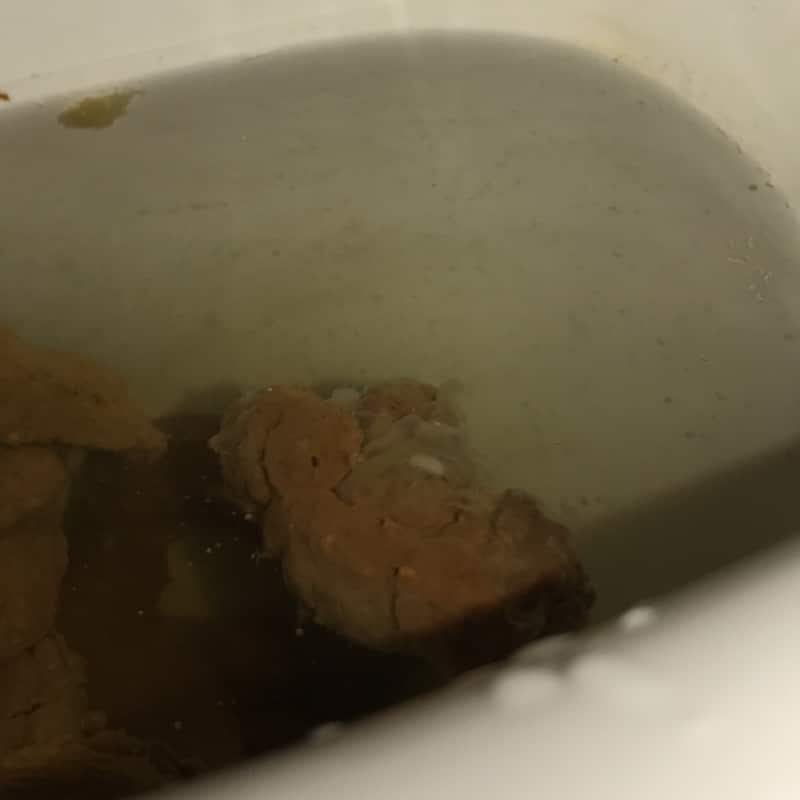 Sorry, disgusting poop Pain &  diarrhoea!