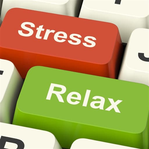 Stress Management Therapy: Best Techniques To Reduce Stress