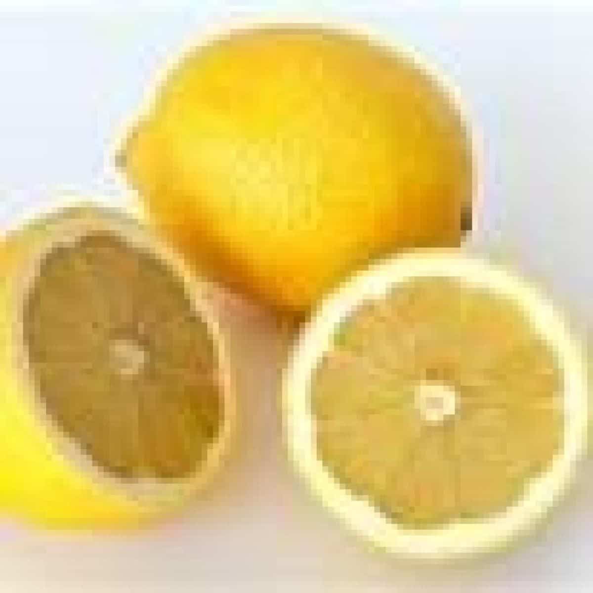 The amazing frozen lemon