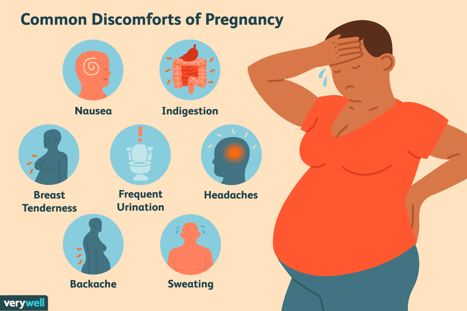 The Common Discomforts of Pregnancy