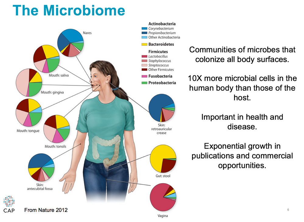 The Microbiome: How it is Important in Health and Disease